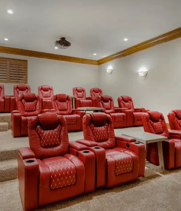 home-theater